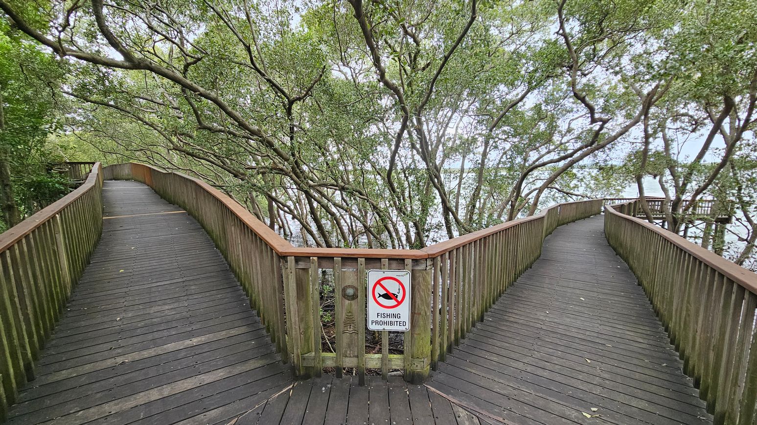 A wooden boardwalk splits into two paths, each lined with railings. The left path curves gently, while the right path bends more sharply. A "Fishing Prohibited" sign is affixed to the railing at the fork. Overhead, dense tree branches with green leaves create a canopy, partially obscuring the view of the water in the background. The boardwalk is made of dark wooden planks, and the railings have a weathered appearance.