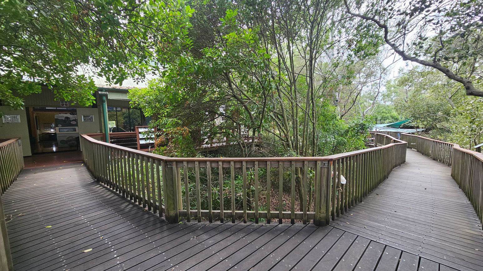 A wooden boardwalk with railings extends from the foreground, splitting into two paths. The left path leads to a building with a green exterior and open entrance. The right path curves through dense greenery, with trees and bushes surrounding the walkway. The boardwalk is made of dark planks, and the area is shaded by overhanging branches.