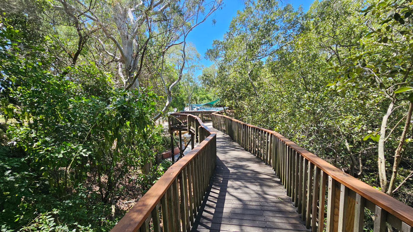 A wooden boardwalk with railings runs through a dense forested area. On the left, there are lush green trees and bushes, while on the right, similar vegetation lines the path. The boardwalk curves gently, leading towards a structure with a green canopy in the distance. Sunlight filters through the trees, casting shadows on the path. The sky is clear and blue, visible through the tree canopy.