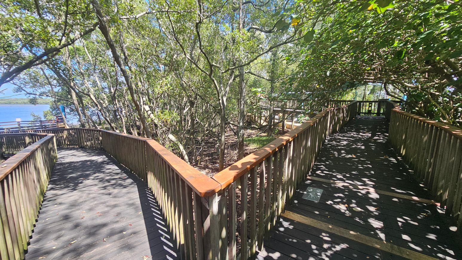A wooden boardwalk with railings runs through a dense area of trees. On the left, the path leads towards a view of water in the distance. On the right, the boardwalk continues under a canopy of leaves, creating dappled shadows on the path. The ground beneath the boardwalk is covered with foliage and tree trunks. The boardwalk is well-maintained, with a smooth surface and evenly spaced railings.