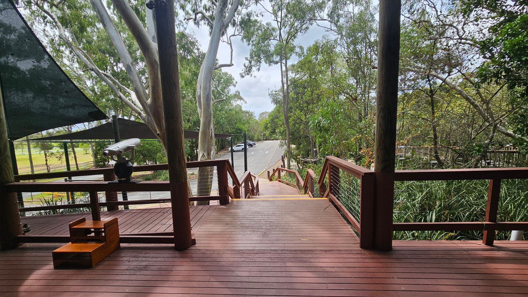 A wooden deck with railings leads down a set of stairs towards a car park in the background. On the left, a small telescope is mounted on the railing, and a wooden step stool is nearby. The area is surrounded by tall trees with green foliage. The deck is shaded by a dark canopy, and the car park has a few parked cars visible. The scene is set in a natural, wooded environment.