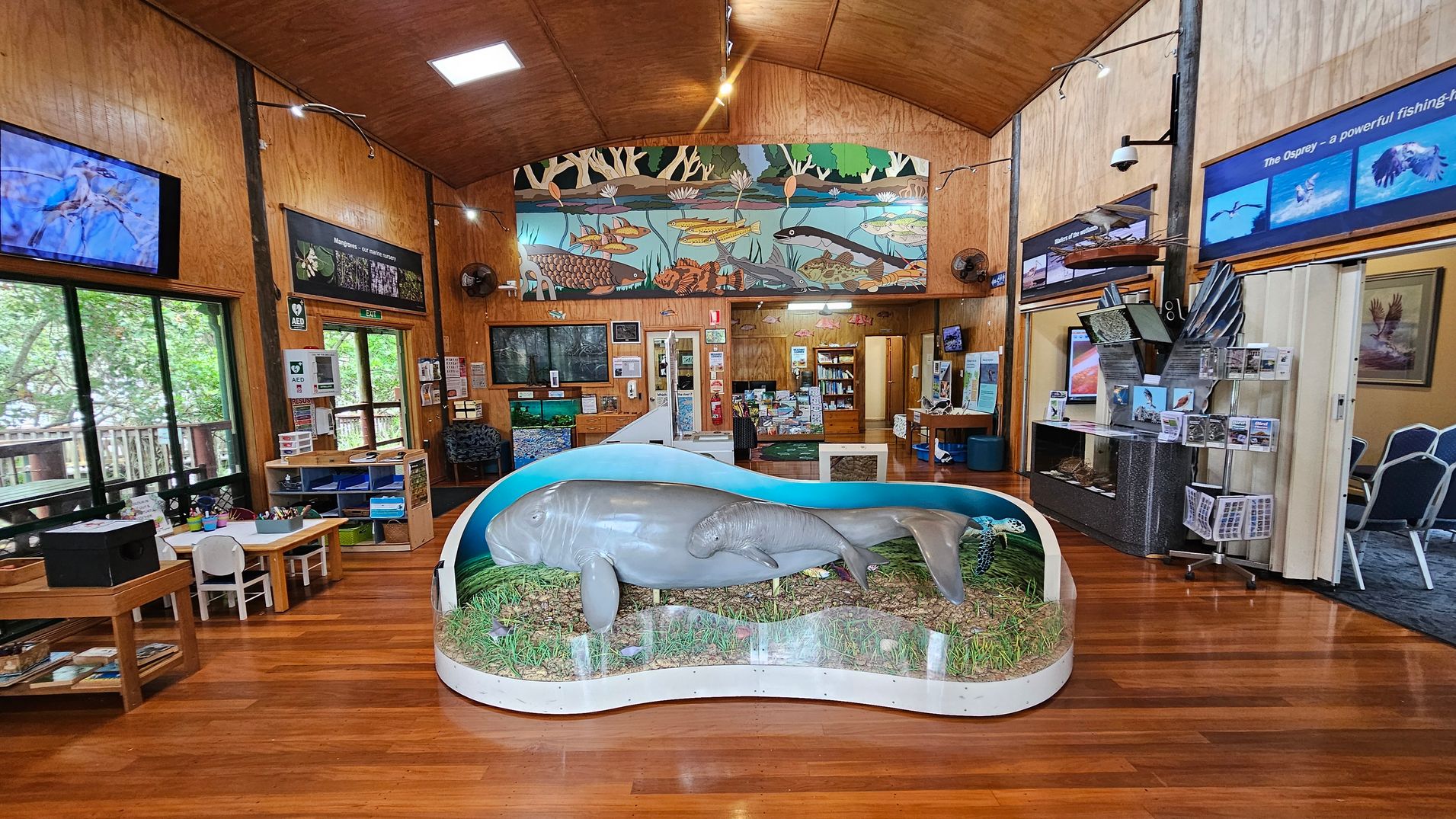 A spacious room with wooden floors and walls. In the centre, there's a large display featuring a model of a manatee and calf in a glass case with grass and water details. On the left, a children's play area with small tables and chairs. The right side has informational displays about ospreys, with images and text. The background features a colourful mural of aquatic life above a doorway leading to another room. The ceiling is wooden with recessed lighting.