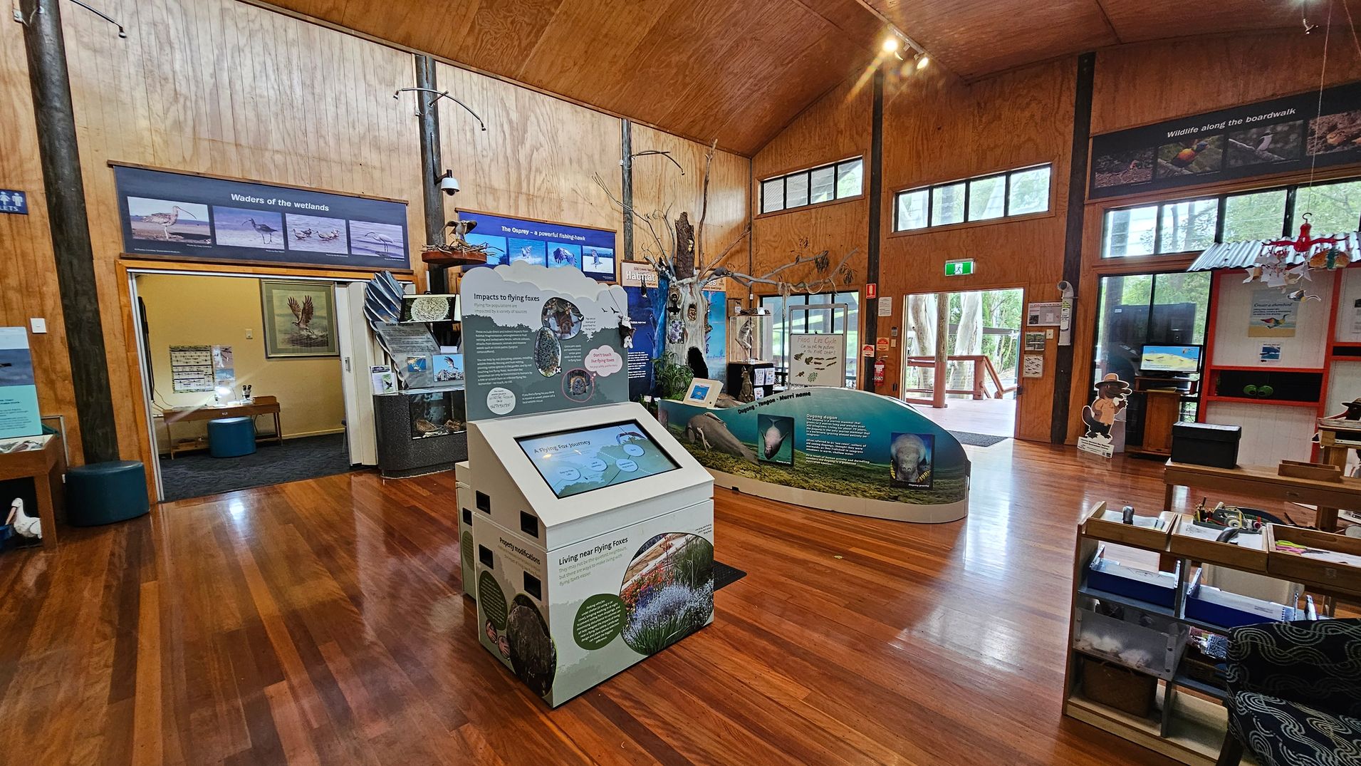 Inside a wooden-floored visitor centre with high wooden ceilings. In the foreground, an interactive display about flying foxes. To the right, a curved exhibit with information about dugongs. The left wall features a display titled "Waders of the wetlands" with bird images. In the background, a doorway leads to another room with a small table and chair. Large windows on the right let in natural light, and a door opens to an outdoor deck area. Various educational displays are scattered throughout.