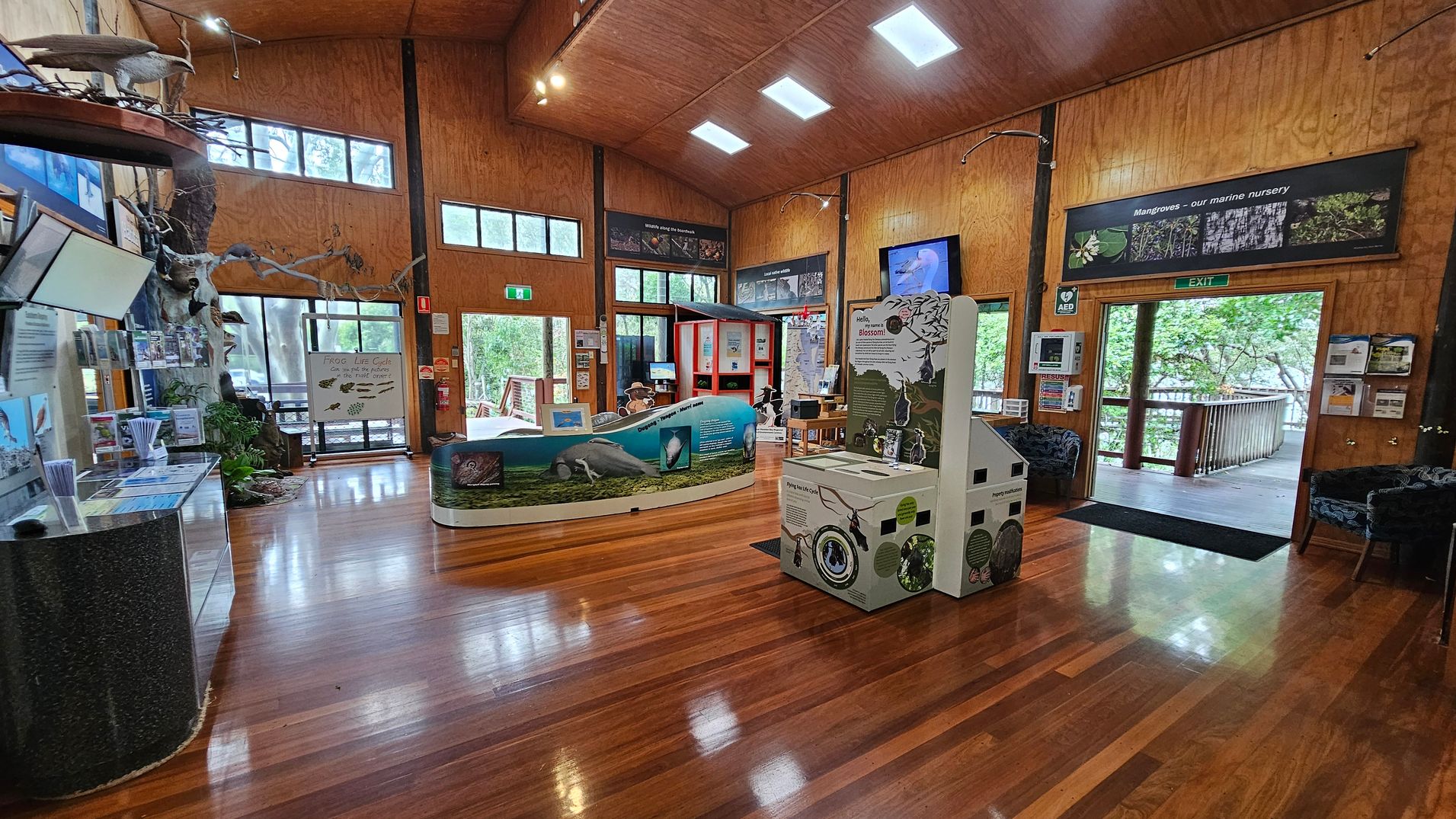 A spacious interior with wooden floors and high wooden ceilings. On the left, there are display cases and informational panels, along with a large bird model mounted on the wall. In the centre, there are interactive exhibits and a curved display featuring wildlife information. On the right, a doorway leads to an outdoor deck with trees visible through the opening. The walls are adorned with educational posters and screens. Natural light enters through high windows.