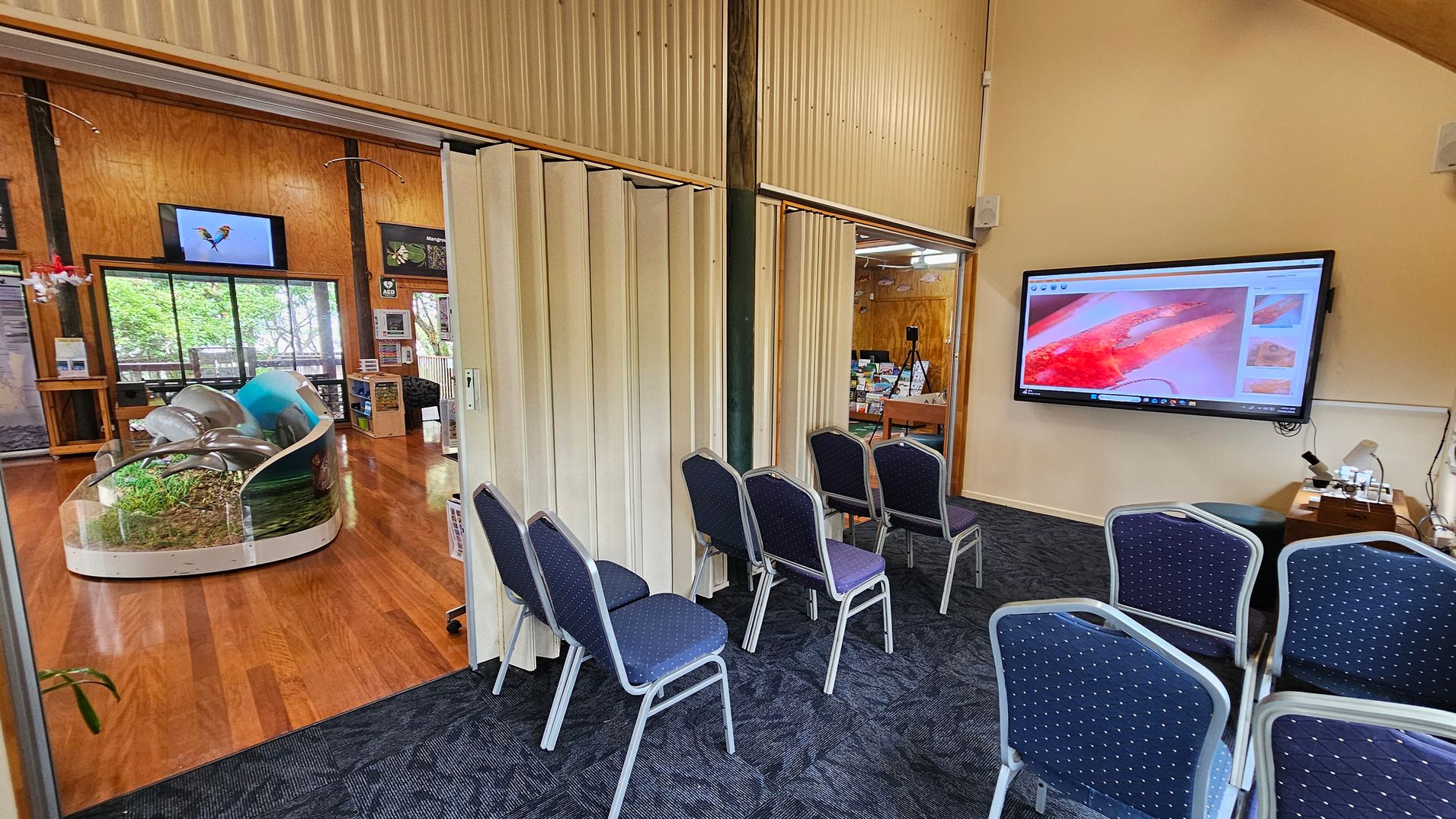 On the left, a room with wooden flooring and a display featuring a model of a natural habitat. A large window shows greenery outside. In the middle, a folding partition separates two areas. On the right, a room with dark carpeted flooring, several blue chairs, and a large screen displaying an image of a red object. The ceiling is wooden, and there are various informational displays and equipment around.