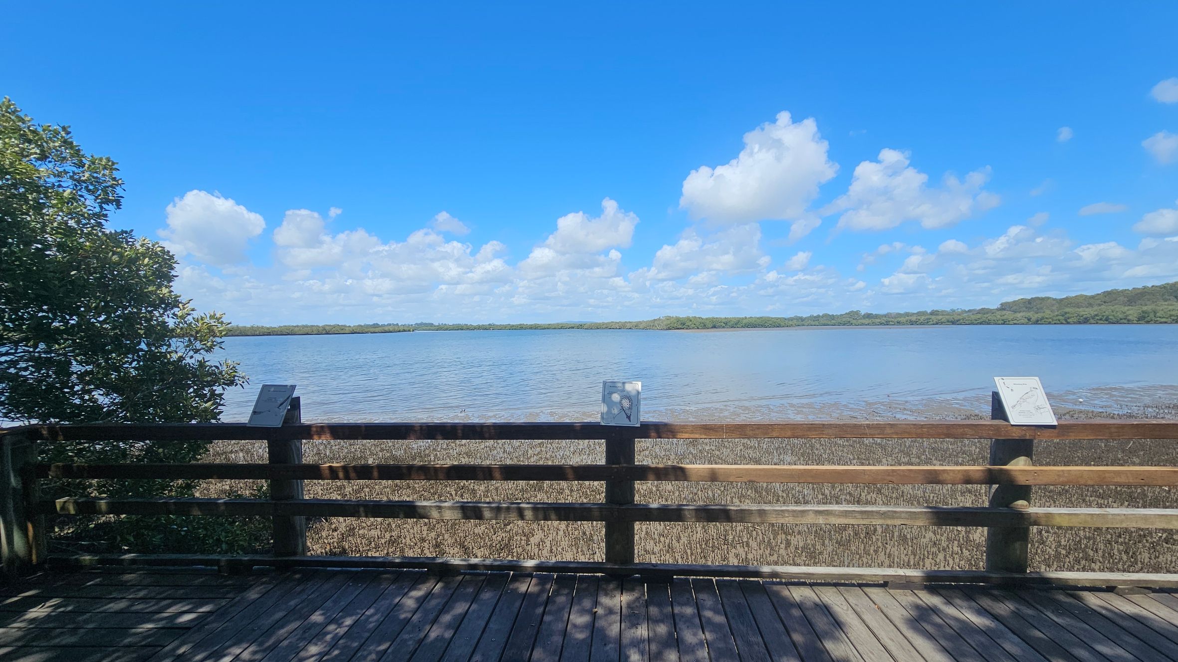 A wooden deck with a railing overlooks a body of water. On the left, there is a tree with green foliage. The railing has three informational signs attached to it. In the background, across the water, a line of trees is visible on the horizon. The deck's floor is wooden, and there are shadows cast on it.
