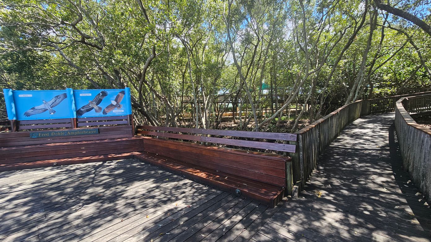 Wooden boardwalk with a bench on the left, featuring two blue signs with bird illustrations. The bench is part of the Fred Dohle Amphitheatre. Trees with dense foliage surround the area, casting shadows on the boardwalk. The path curves to the right, bordered by a wooden railing. The ground is covered with leaves and dappled sunlight.