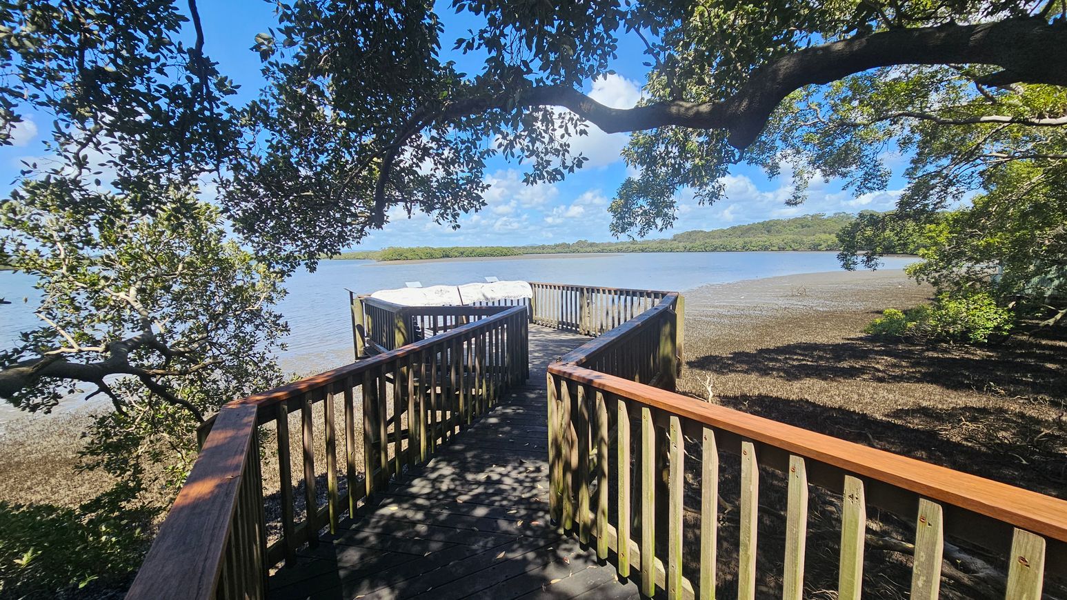 A wooden boardwalk leads to a viewing platform overlooking a body of water. The platform is surrounded by a wooden railing. Overhead, tree branches with green leaves provide partial shade. The water is calm, with a distant shoreline visible in the background. The ground beneath the trees is covered with mangrove roots and foliage.