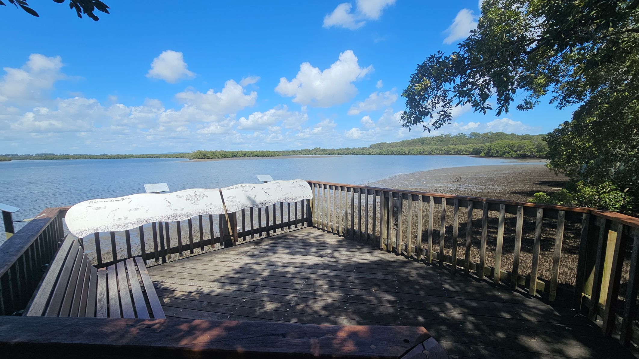 A wooden viewing platform with a railing overlooks a body of water. On the left, there is a wooden bench attached to the railing. In the centre, informational signs with illustrations are mounted on the railing. The right side shows a muddy shoreline with trees in the background. Overhead, tree branches extend into the scene, casting shadows on the platform's wooden floor.