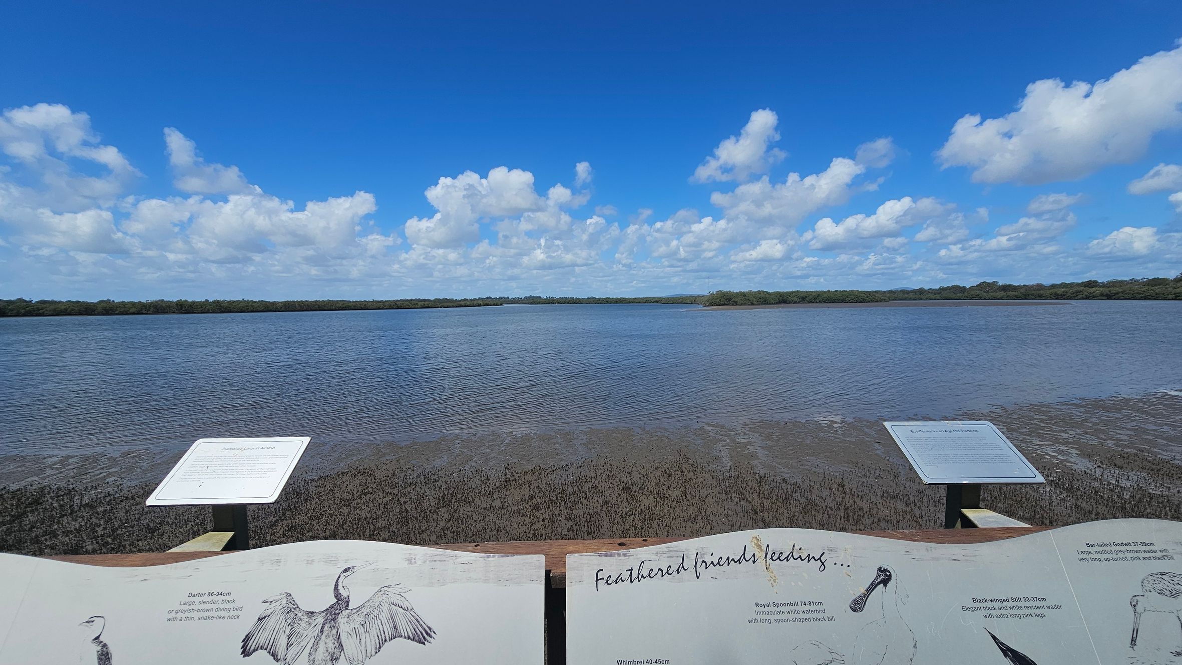 In the foreground, there are informational signs with illustrations and text about local bird species. The middle ground features a body of water with gentle ripples, bordered by a line of dense trees in the background. The sky is filled with scattered white clouds.