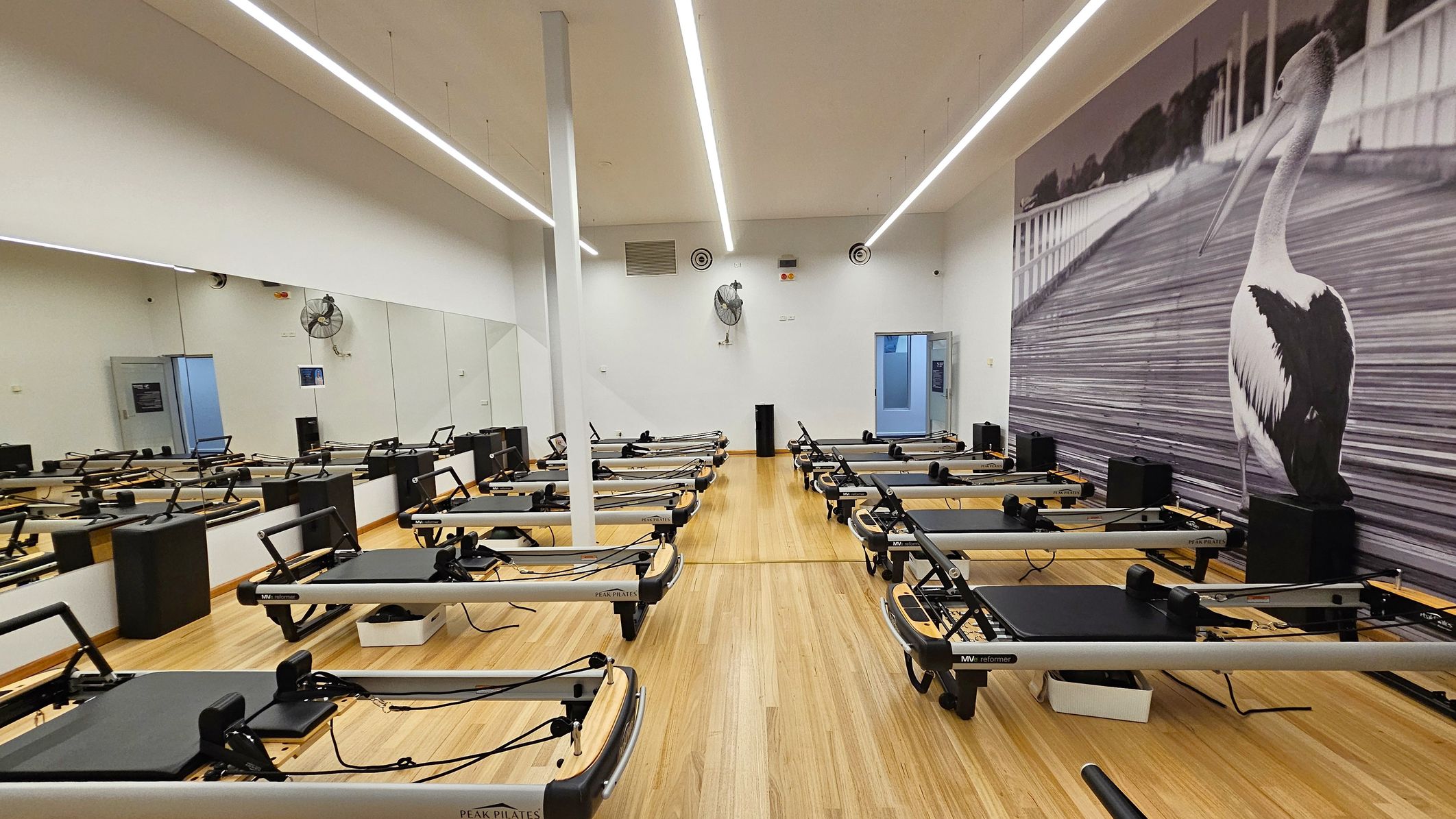 A Pilates studio with wooden flooring and a high ceiling. On the left, a large mirror spans the wall, reflecting several Pilates reformer machines aligned in rows. The right wall features a large mural of a pelican. The back wall has a door and two wall-mounted fans. The ceiling has linear lights running parallel to the reformers.