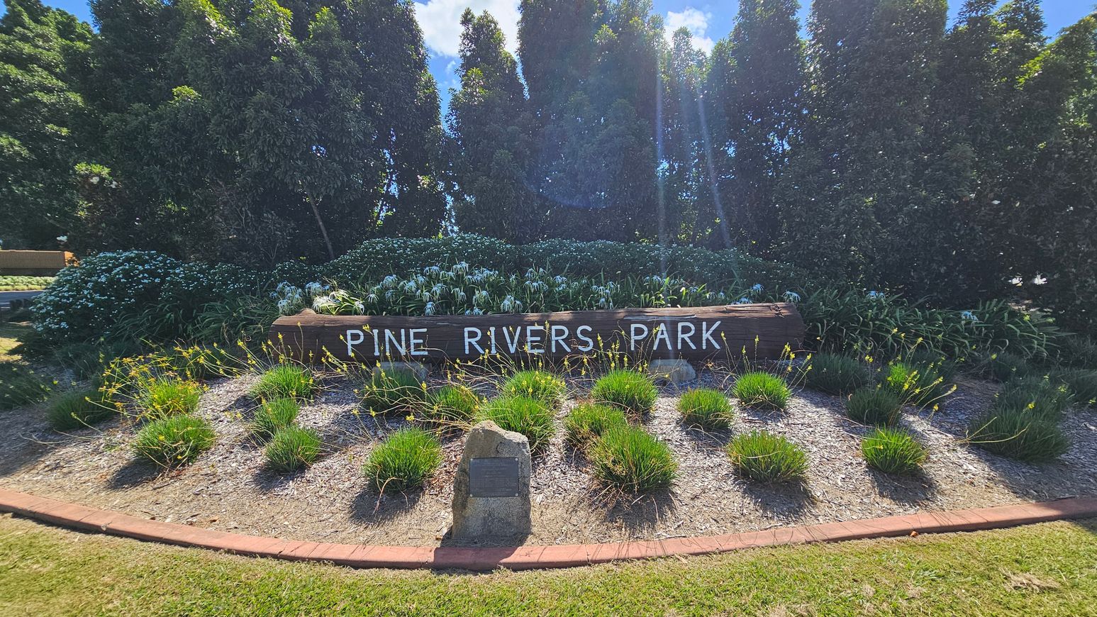 A wooden sign with "PINE RIVERS PARK" written in white letters is set in a landscaped garden. In the foreground, there are small green shrubs and a stone with a plaque. The background features tall, dense trees and flowering plants, with sunlight streaming through the foliage. The ground is covered with mulch and bordered by a red brick edge.