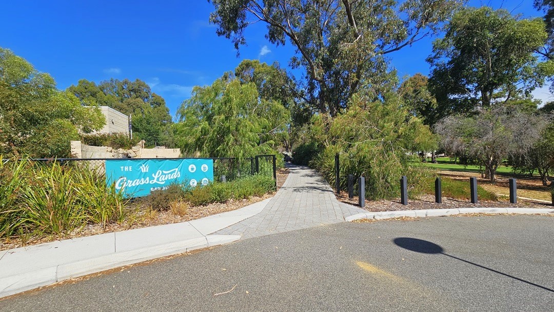 An accessible car parking space marked by a blue wheelchair sign. On the left, there is a white car parked. The path on the right elevates. Tall native trees and shrubs border the path. There is an elevated concrete pathway on the left serving as a pedestrian lane. An accessible car parking space marked by a blue wheelchair sign. On the left, there is a white car parked. The path on the right elevates. Tall native trees and shrubs border the path. There is an elevated concrete pathway on the left serving as a pedestrian lane.