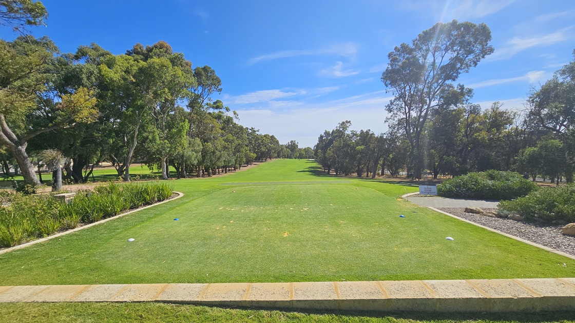 The golf course area presents a panoramic view with a large expanse of green, combining natural grass and synthetic turfs. The putting green is centrally positioned. Tall trees flank both the right and left sections. A concrete path crosses the green. On the right, a landscape features plants and shrubs, complemented by large rocks and pebbles. A visible sign adds to the scene. The golf course area presents a panoramic view with a large expanse of green, combining natural grass and synthetic turfs. The putting green is centrally positioned. Tall trees flank both the right and left sections. A concrete path crosses the green. On the right, a landscape features plants and shrubs, complemented by large rocks and pebbles. A visible sign adds to the scene.