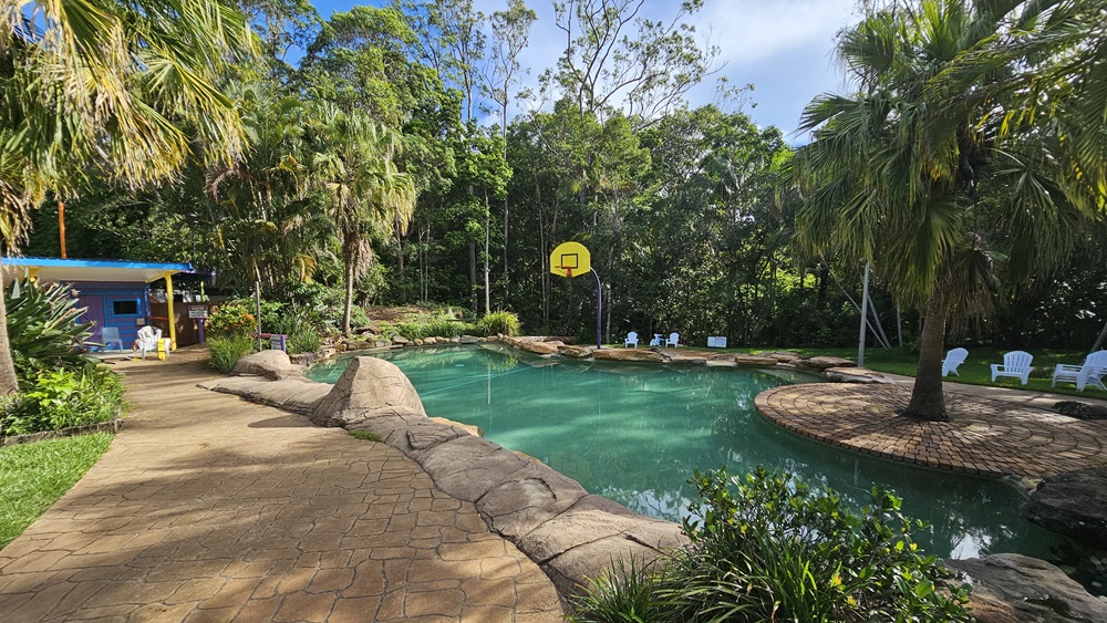 A pool bordered by large rocks with a palm tree in the middle, surrounded by bricks. A basketball board is on the other side. Plastic sun loungers are placed in the grass area and under the trees. A brick pathway leads to a colourful shade structure on the left. Trees surround the area. A pool bordered by large rocks with a palm tree in the middle, surrounded by bricks. A basketball board is on the other side. Plastic sun loungers are placed in the grass area and under the trees. A brick pathway leads to a colourful shade structure on the left. Trees surround the area.