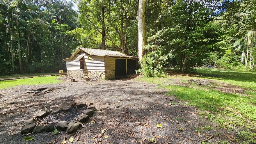 In an open, unpaved area, a hut constructed from half concrete and half timber stands beneath the shade of tall trees. Nearby, bonfire spots are positioned. Towering trees, along with native plants and grass, dominate both sides. In an open, unpaved area, a hut constructed from half concrete and half timber stands beneath the shade of tall trees. Nearby, bonfire spots are positioned. Towering trees, along with native plants and grass, dominate both sides.