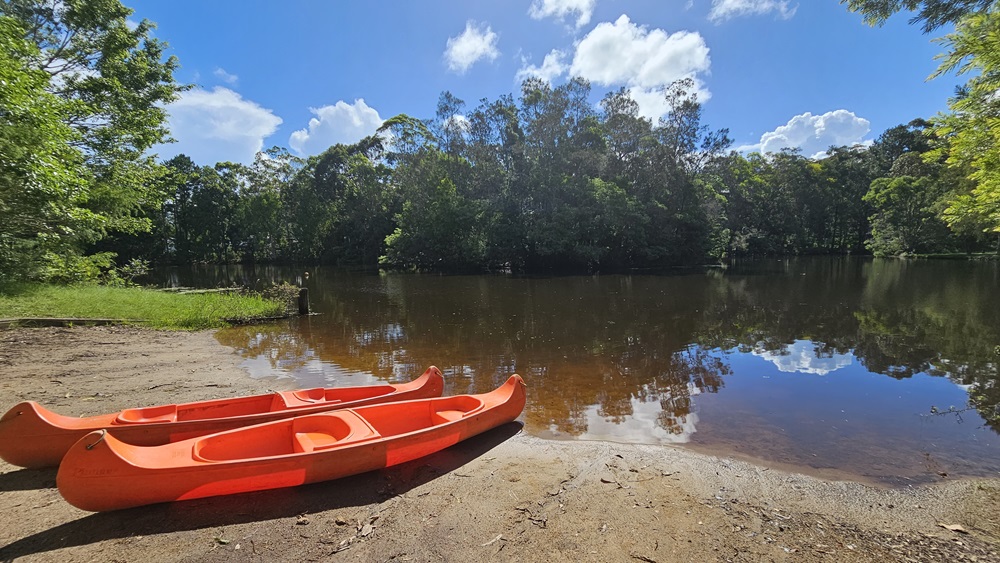 Two orange watercraft rest near the lake, their tips touching the water. Surrounding the lake are various trees and native grasses. Two orange watercraft rest near the lake, their tips touching the water. Surrounding the lake are various trees and native grasses.