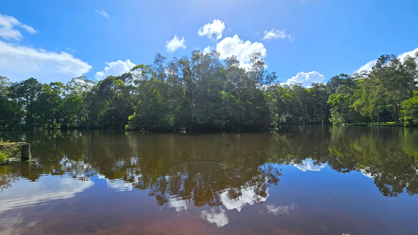 The lake is encircled by diverse trees and native grasses. Its surface mirrors the trees and the clouds above. The lake is encircled by diverse trees and native grasses. Its surface mirrors the trees and the clouds above.