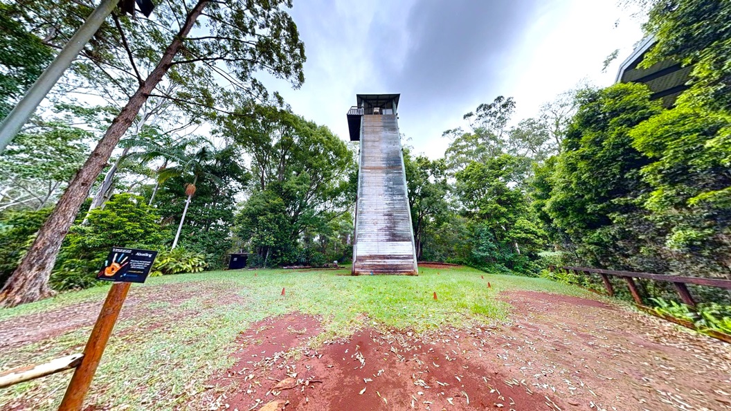 A 3-tier tower made of wooden planks and metal is positioned in the middle of a grassy area. Various trees, grass, and plants, including ferns, occupy both sides. A wooden barricade is on the left. The area features an uneven surface with partially exposed dirt. A 3-tier tower made of wooden planks and metal is positioned in the middle of a grassy area. Various trees, grass, and plants, including ferns, occupy both sides. A wooden barricade is on the left. The area features an uneven surface with partially exposed dirt.