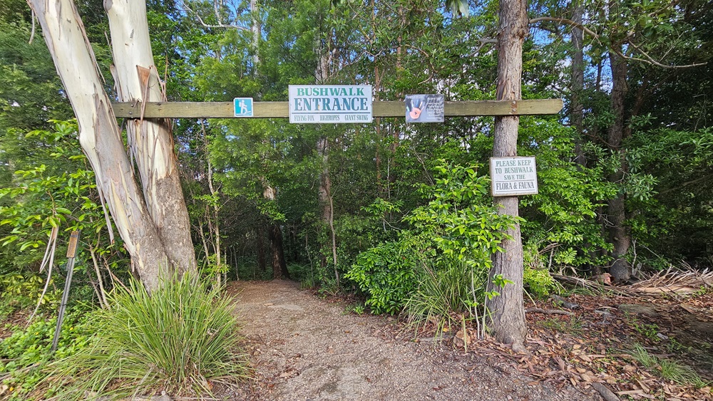 A wooden plank bears a sign reading "Bushwalk Entrance," alongside others fixed to tall trees. A dirt pathway leads into bushes, flanked by various trees and native grass. On the right, tall, mature trees stand, with some dry leaves scattered. A wooden plank bears a sign reading "Bushwalk Entrance," alongside others fixed to tall trees. A dirt pathway leads into bushes, flanked by various trees and native grass. On the right, tall, mature trees stand, with some dry leaves scattered.