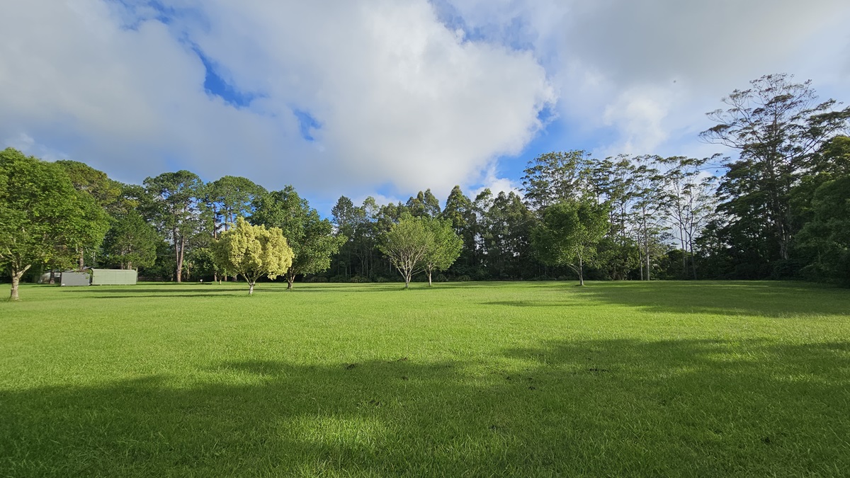 An open expanse with neatly trimmed green grass. Medium-sized trees with lush foliage line the centre, surrounded by more trees. Shade structures are visible further to the left. An open expanse with neatly trimmed green grass. Medium-sized trees with lush foliage line the centre, surrounded by more trees. Shade structures are visible further to the left.