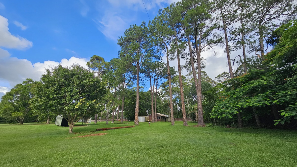 An open field with well-manicured green grass. Medium-sized trees with lush foliage are arranged in the centre, surrounded by additional trees. A shade structure is visible to the left, and facility buildings are positioned further ahead. Tall trees line the left side. An open field with well-manicured green grass. Medium-sized trees with lush foliage are arranged in the centre, surrounded by additional trees. A shade structure is visible to the left, and facility buildings are positioned further ahead. Tall trees line the left side.