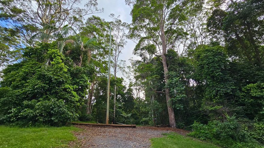 On the left, there's a well-manicured open field with lush green grass and medium-sized trees. The middle ground features an unpaved area with a long tree log. Towering trees dominate the area, accompanied by native grass and bushes. On the left, there's a well-manicured open field with lush green grass and medium-sized trees. The middle ground features an unpaved area with a long tree log. Towering trees dominate the area, accompanied by native grass and bushes.