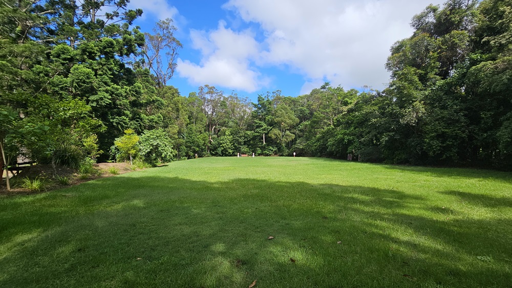 A spacious area covered with manicured grass. Various trees, plants, and native grass border the left, while more mature trees dominate the right. A spacious area covered with manicured grass. Various trees, plants, and native grass border the left, while more mature trees dominate the right.