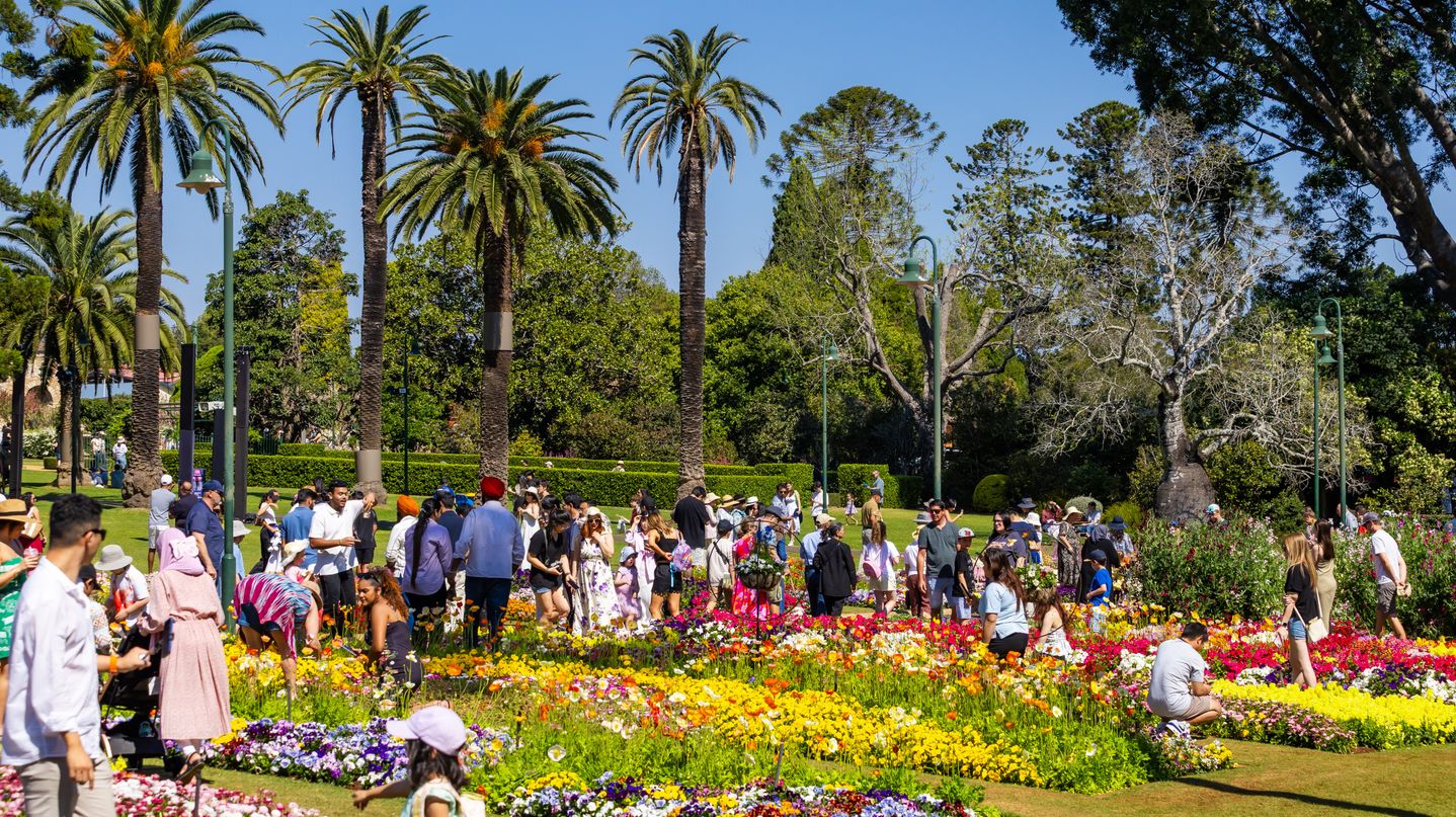 A vibrant garden scene with numerous people walking and gathering among colourful flower beds in the foreground. The flowers are in full bloom, displaying a variety of colours including yellow, red, purple, and white. Tall palm trees and lush green trees form the background, providing shade and a tropical atmosphere. The area is well-maintained with neatly trimmed grass and hedges. Several lamp posts are visible, adding to the park-like setting.