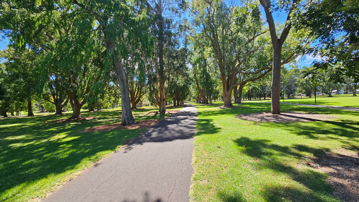 A paved path runs through the centre of a park, flanked by lush green grass. Tall trees with dense foliage line both sides, casting dappled shadows on the ground. The trees are spaced evenly, creating a natural canopy over the path. Sunlight filters through the leaves, illuminating patches of the grass. The scene is tranquil and inviting, with a sense of depth as the path stretches into the distance.