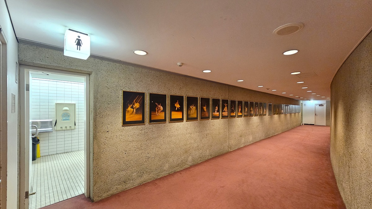 A corridor with a pink carpet leads to the regular female toilets. A "female" sign is affixed to the ceiling near the door. Inside the toilet, a foldable change table is mounted to the wall. The wall and floor have white tiles. Outside the toilet, the ceiling is white with LED lights. Posters lined the left wall.