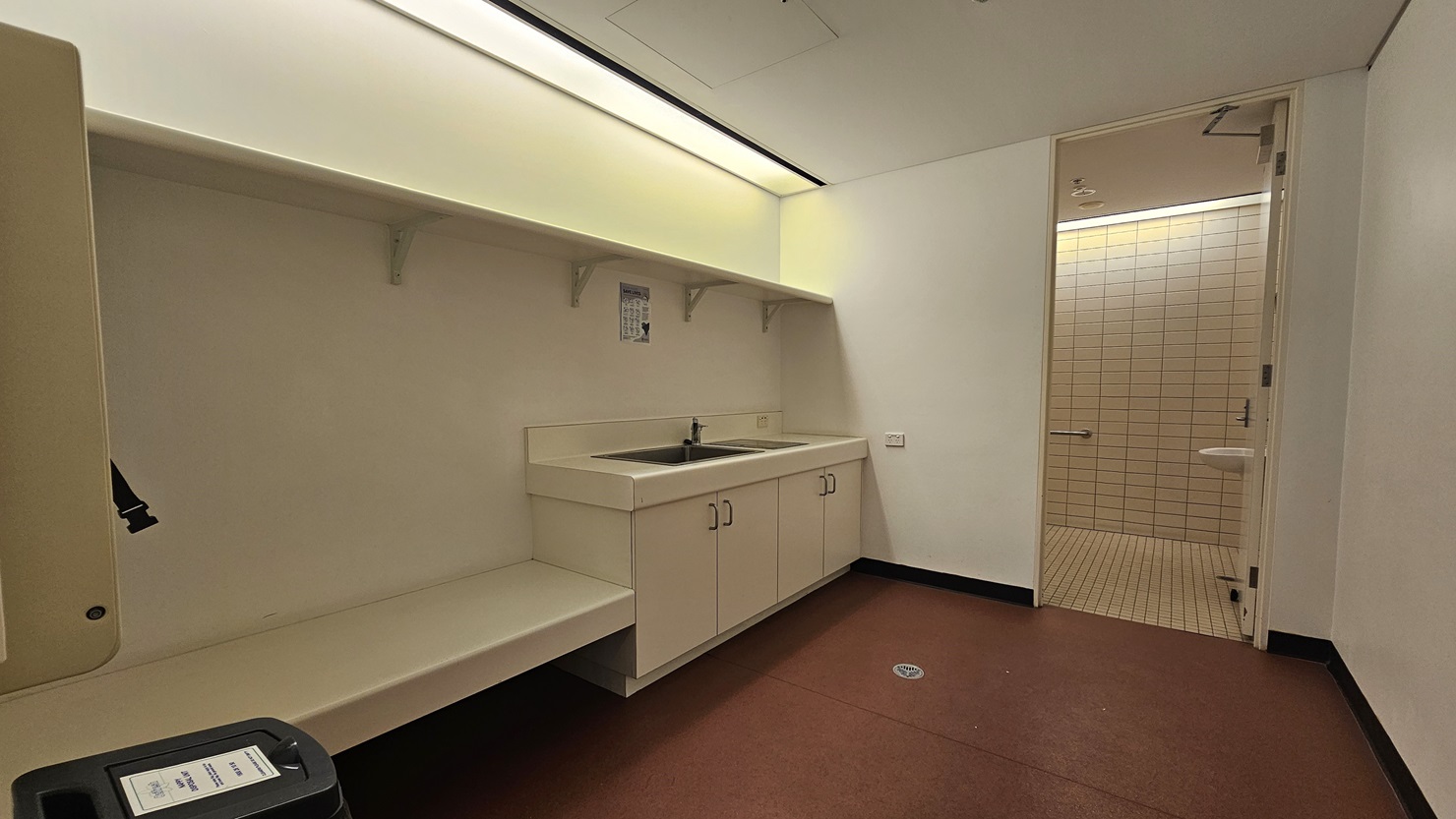 On the right-hand side, there is a toilet area featuring white tiled walls. Positioned outside the toilet, towards the left, is a wash basin accompanied by cabinets. Adjacent to the basin, there is a long bench and a rubbish bin. The floor is covered with pink carpet, while both the ceiling and the wall exhibit a white colour scheme.