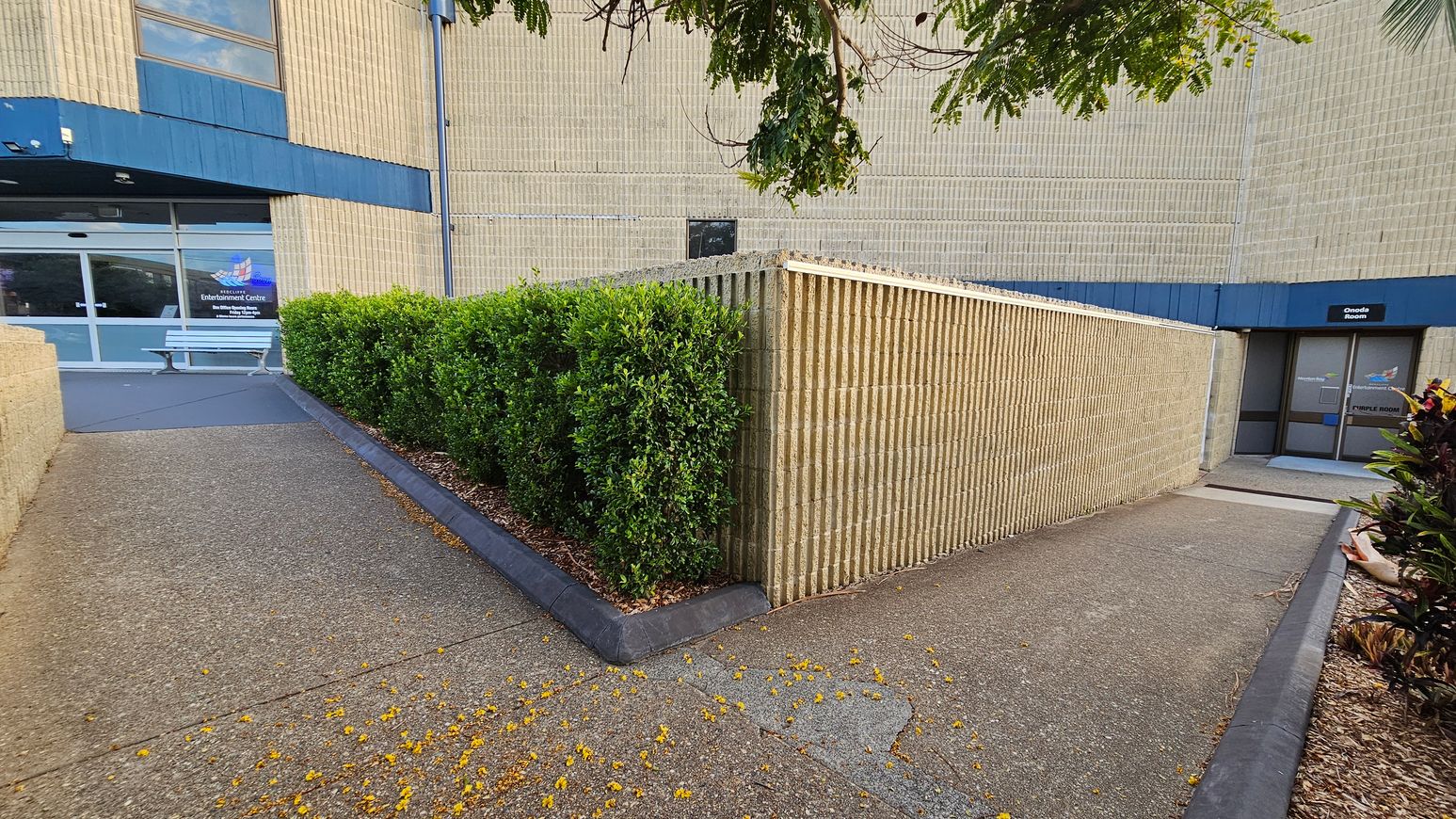On the left, a pathway leads to a glass entrance with a sign for an entertainment centre. A bench is positioned near the door. On the right, another pathway leads to a door marked "Onoda room." A low wall with vertical grooves separates the two paths. Green shrubs line the left path, while a few plants are visible on the right. Overhead, tree branches extend into the frame. The building has a beige brick exterior with blue accents. The ground is covered with small yellow flowers. On the left, a pathway leads to a glass entrance with a sign for an entertainment centre. A bench is positioned near the door. On the right, another pathway leads to a door marked "Onoda room." A low wall with vertical grooves separates the two paths. Green shrubs line the left path, while a few plants are visible on the right. Overhead, tree branches extend into the frame. The building has a beige brick exterior with blue accents. The ground is covered with small yellow flowers.