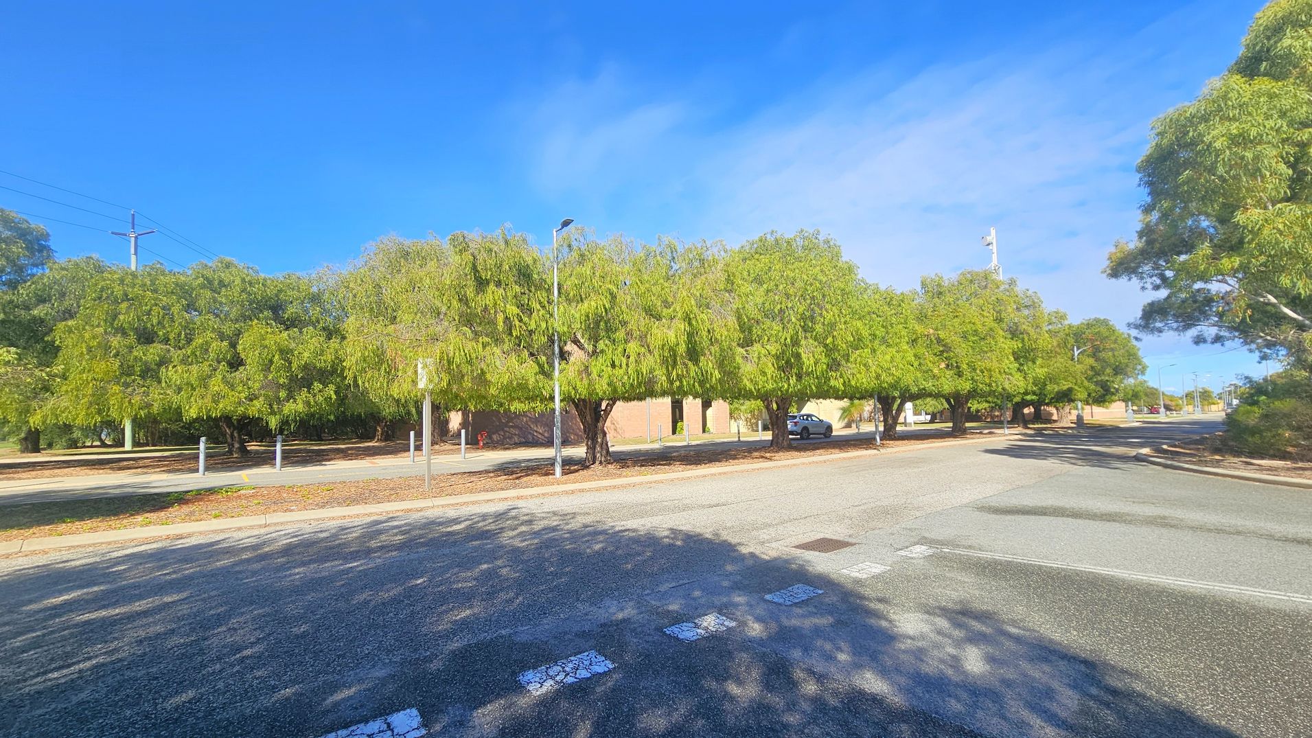 A street scene with a wide road in the foreground, featuring a pedestrian crossing marked with white lines. On the left and right, there are large, leafy trees casting shadows on the pavement. In the background, a brick building is partially visible behind the trees, with a parked car nearby. Several street lamps and utility poles are also present, and the area is well-lit by sunlight.