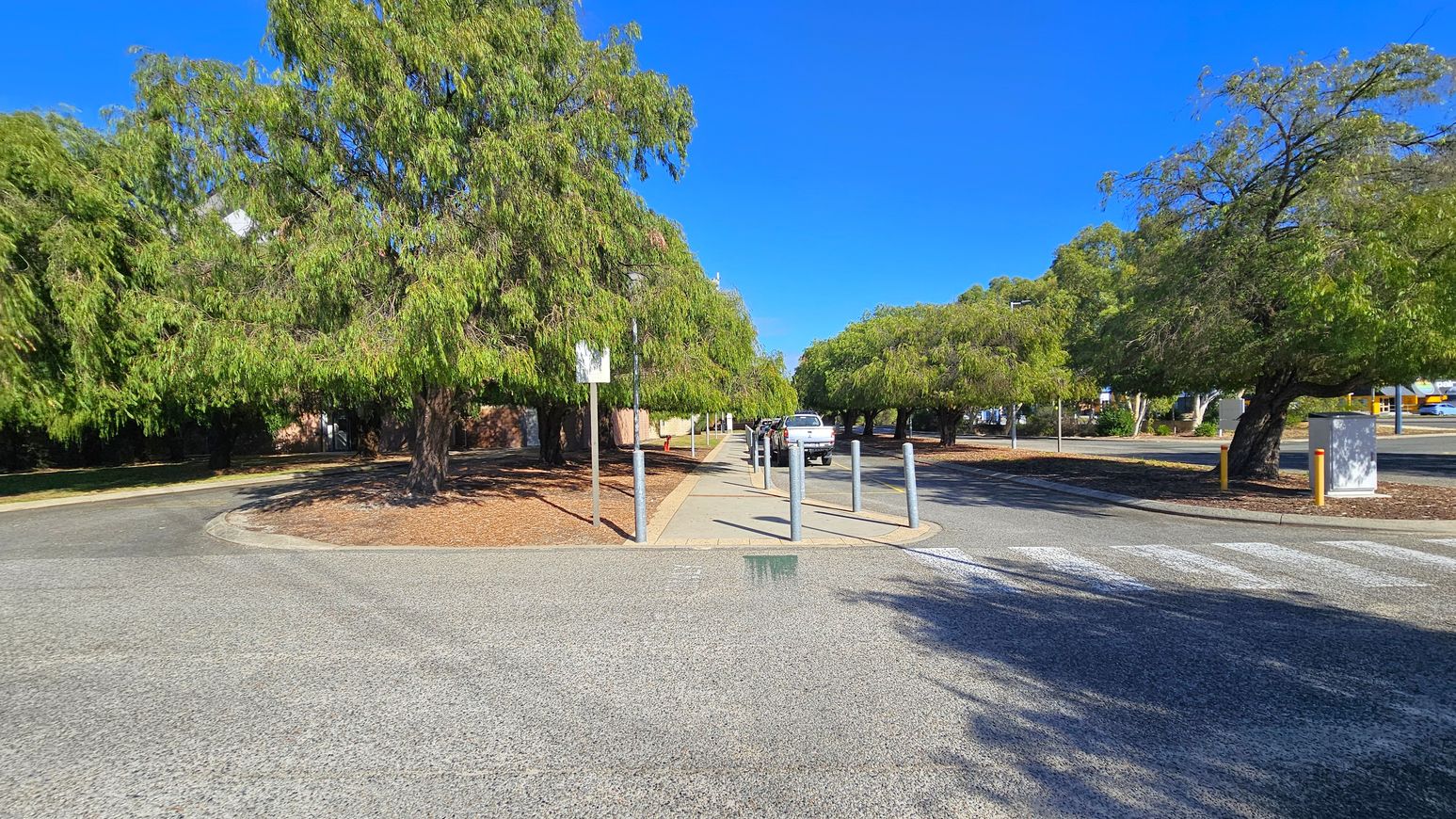 A paved pathway runs through the centre, flanked by tall trees with dense green foliage on both sides. On the left, a large tree casts a shadow over the ground, while on the right, another tree stands near a white utility box. Several bollards line the path, and a white vehicle is parked further down. The ground is a mix of asphalt and scattered leaves, with a zebra crossing in the foreground. The sky is clear and blue.