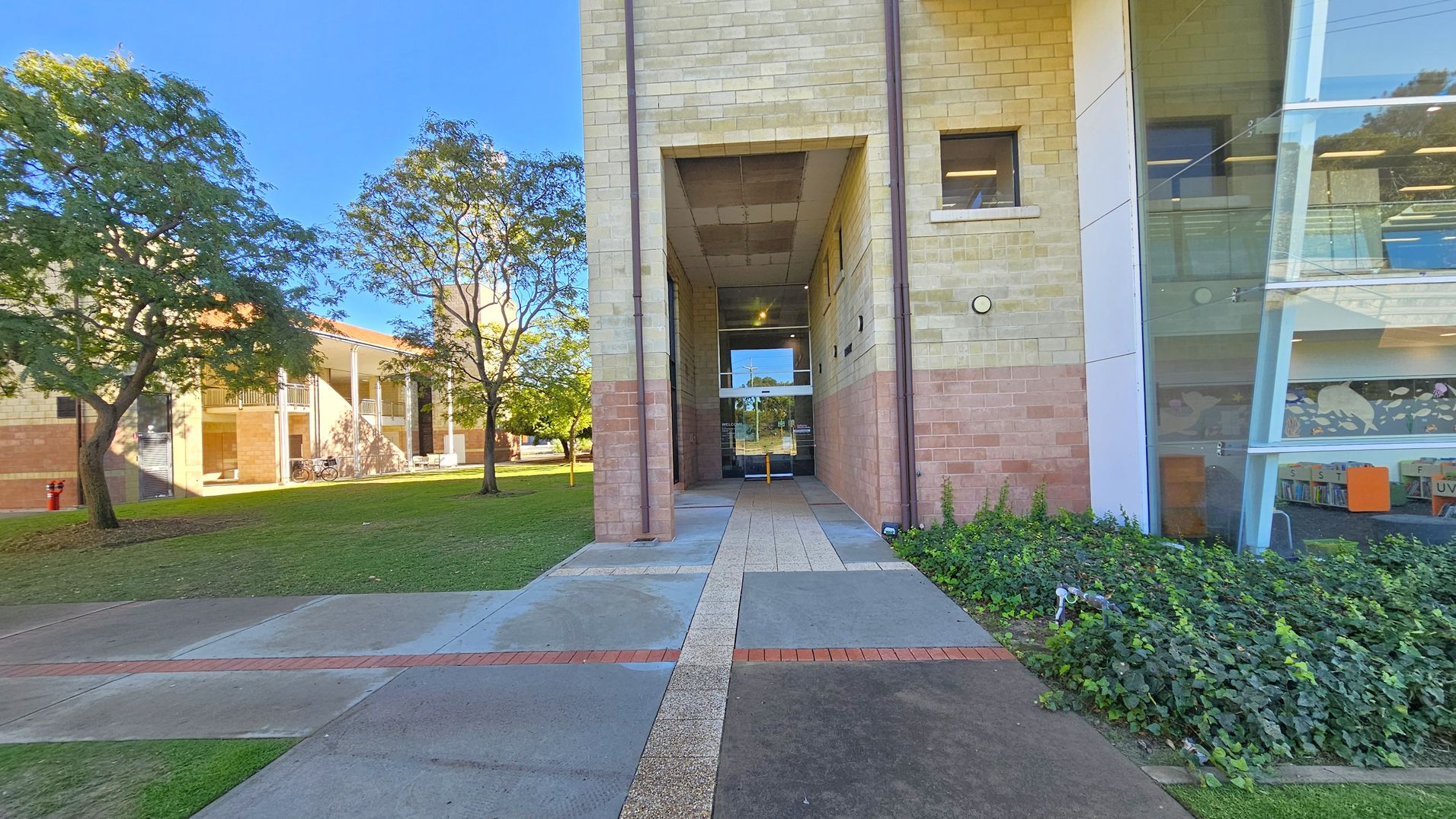 A pathway leads to a building entrance in the centre, flanked by light-coloured brick walls. On the right, a large glass window reveals an interior with bookshelves. On the left, a grassy area with trees and another building with columns and bicycles. The ground is a mix of concrete and brick, and there are small plants near the glass window.