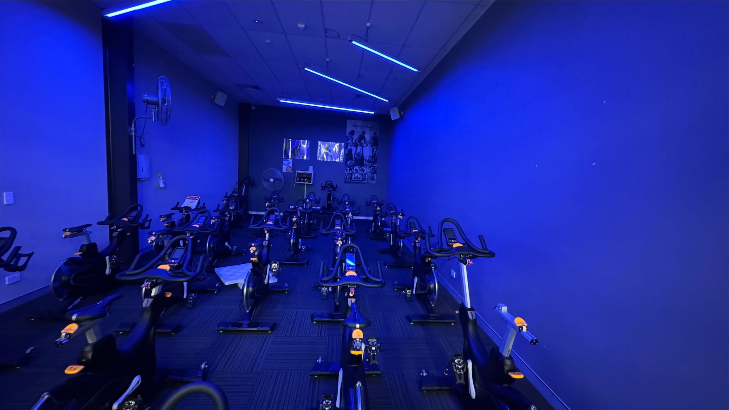 A dimly lit indoor cycling studio with a blue hue. The room is filled with stationary bikes arranged in rows. The walls are painted blue, and there are posters on the far wall. The ceiling has blue LED strip lights. A fan is mounted on the left wall. The floor is carpeted with a dark pattern. A dimly lit indoor cycling studio with a blue hue. The room is filled with stationary bikes arranged in rows. The walls are painted blue, and there are posters on the far wall. The ceiling has blue LED strip lights. A fan is mounted on the left wall. The floor is carpeted with a dark pattern.