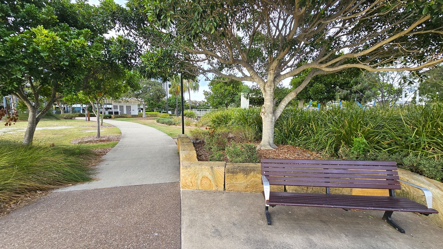 A park scene with a wooden bench on the right, set on a paved area. Behind the bench, a large tree with dense foliage provides shade. To the left, a winding concrete path leads through the park, bordered by grass and smaller trees. A low stone wall runs parallel to the path, separating it from the bench area. In the background, there are more trees and a glimpse of a building. The ground is a mix of concrete and grass, with some mulch around the plants.