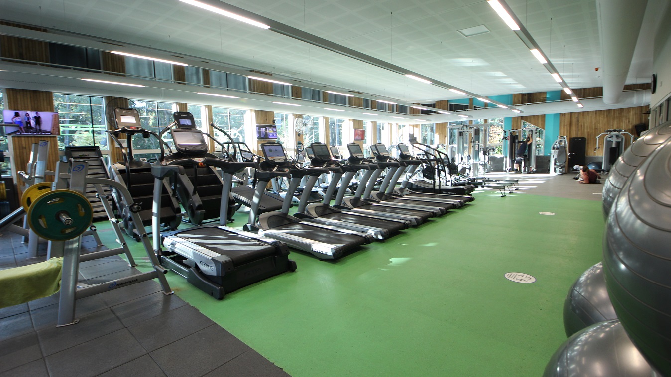 The image shows large grey gym balls on the right side opposite to the treadmills inside the Health Club room. The room is well-lit by long metal fluorescent light covers hung in the ceilings. Next to the green-painted floor is a grey-tiled floor which is the section for heavy lifting equipment. The image shows large grey gym balls on the right side opposite to the treadmills inside the Health Club room. The room is well-lit by long metal fluorescent light covers hung in the ceilings. Next to the green-painted floor is a grey-tiled floor which is the section for heavy lifting equipment.