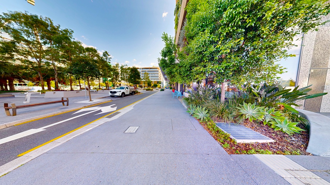 Wide pedestrian pathways. Arrival and Parking. Sunshine Coast City Hall. A wide paved pedestrian pathway runs alongside a road, bordered by landscaped garden beds, shrubs and established trees. The pathway extends straight ahead, with street trees providing shade along the route and buildings partially visible through the greenery on the right. Wide pedestrian pathways. Arrival and Parking. Sunshine Coast City Hall. A wide paved pedestrian pathway runs alongside a road, bordered by landscaped garden beds, shrubs and established trees. The pathway extends straight ahead, with street trees providing shade along the route and buildings partially visible through the greenery on the right.