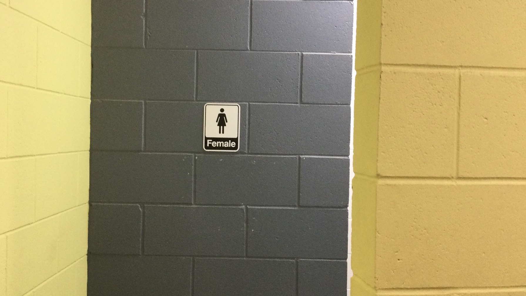 The grey and yellow concrete walls in the female section of the leisure centre’s toilet. The grey wall has the white and black signage of a female toilet. The grey and yellow concrete walls in the female section of the leisure centre’s toilet. The grey wall has the white and black signage of a female toilet.