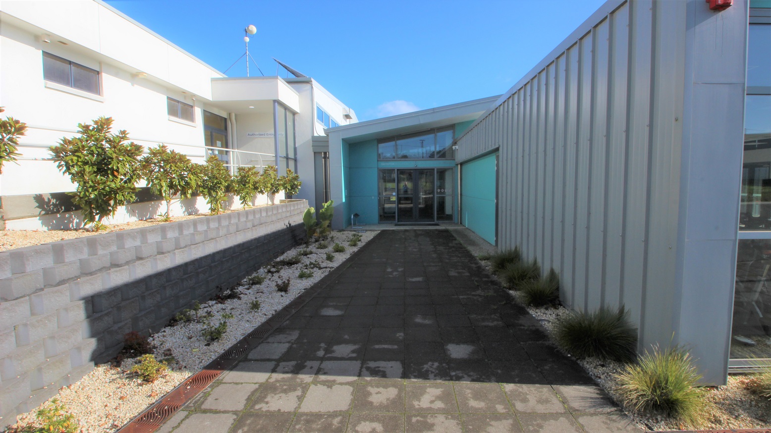 Grey tiled pathway leading to the entrance automatic, double glass doors of SWIRL. Found on both sides of this pathway is a long garden with fountain grasses. Next to the entrance ramp with white metal handrails is a breast-high, brick planter box with a type of shrub that has red colour edges on its leaves. Grey tiled pathway leading to the entrance automatic, double glass doors of SWIRL. Found on both sides of this pathway is a long garden with fountain grasses. Next to the entrance ramp with white metal handrails is a breast-high, brick planter box with a type of shrub that has red colour edges on its leaves.