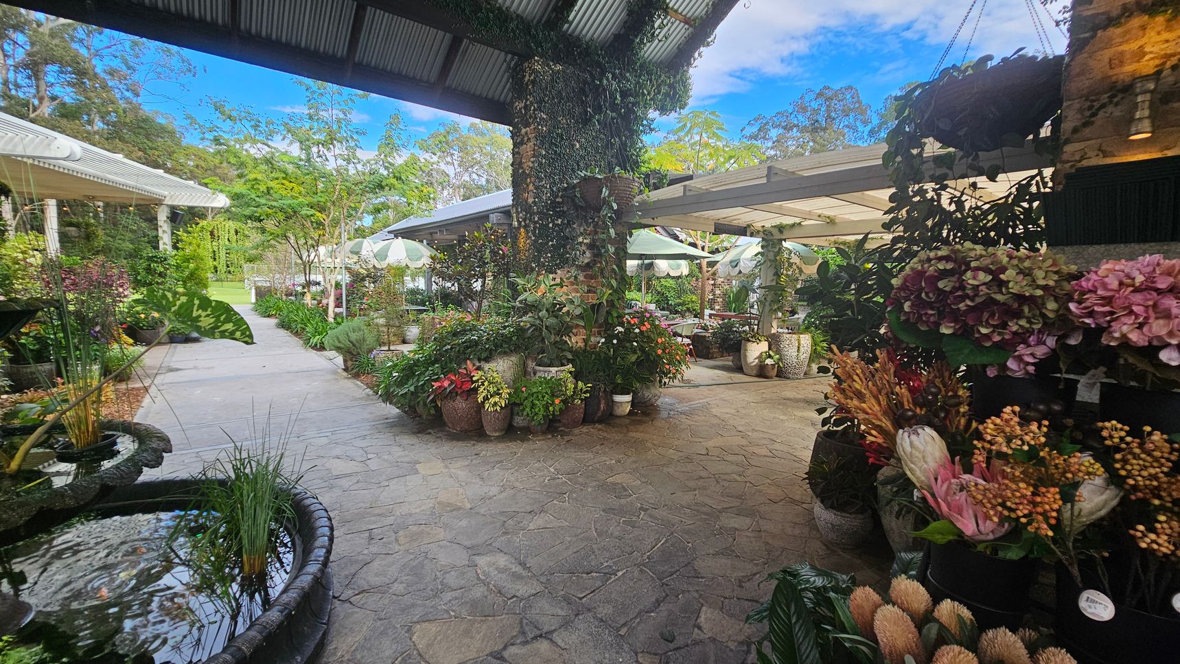 A garden centre with a variety of plants and flowers. On the left, a small pond with aquatic plants is visible. The centre features a stone pathway lined with potted plants and flowers, leading to a seating area with white umbrellas. The right side has a display of colourful flowers, including hydrangeas. The ceiling is a corrugated metal roof, and the background shows lush greenery and trees. A garden centre with a variety of plants and flowers. On the left, a small pond with aquatic plants is visible. The centre features a stone pathway lined with potted plants and flowers, leading to a seating area with white umbrellas. The right side has a display of colourful flowers, including hydrangeas. The ceiling is a corrugated metal roof, and the background shows lush greenery and trees.