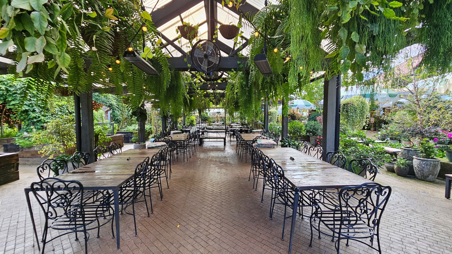 A spacious outdoor dining area with long wooden tables and ornate black metal chairs arranged in rows. Above, a glass ceiling supports hanging ferns and string lights. The floor is paved with light brown bricks. Surrounding the area are lush green plants and trees, with potted plants visible on the right. The background features more greenery and outdoor umbrellas, creating a garden-like atmosphere. A spacious outdoor dining area with long wooden tables and ornate black metal chairs arranged in rows. Above, a glass ceiling supports hanging ferns and string lights. The floor is paved with light brown bricks. Surrounding the area are lush green plants and trees, with potted plants visible on the right. The background features more greenery and outdoor umbrellas, creating a garden-like atmosphere.