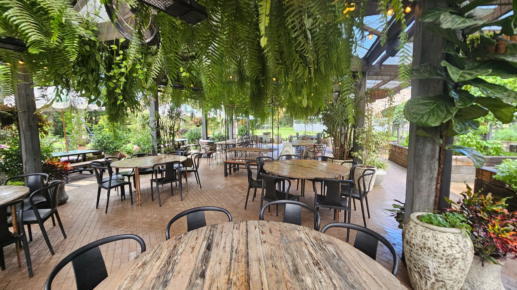 Outdoor seating area with round wooden tables and black chairs on a brick floor. Lush green ferns hang from the ceiling, creating a canopy effect. Large potted plants are placed around the space, adding to the greenery. In the background, more tables and chairs are visible, along with a view of a garden with various plants and trees. The ceiling is partially covered with transparent panels, allowing natural light to filter through. Outdoor seating area with round wooden tables and black chairs on a brick floor. Lush green ferns hang from the ceiling, creating a canopy effect. Large potted plants are placed around the space, adding to the greenery. In the background, more tables and chairs are visible, along with a view of a garden with various plants and trees. The ceiling is partially covered with transparent panels, allowing natural light to filter through.