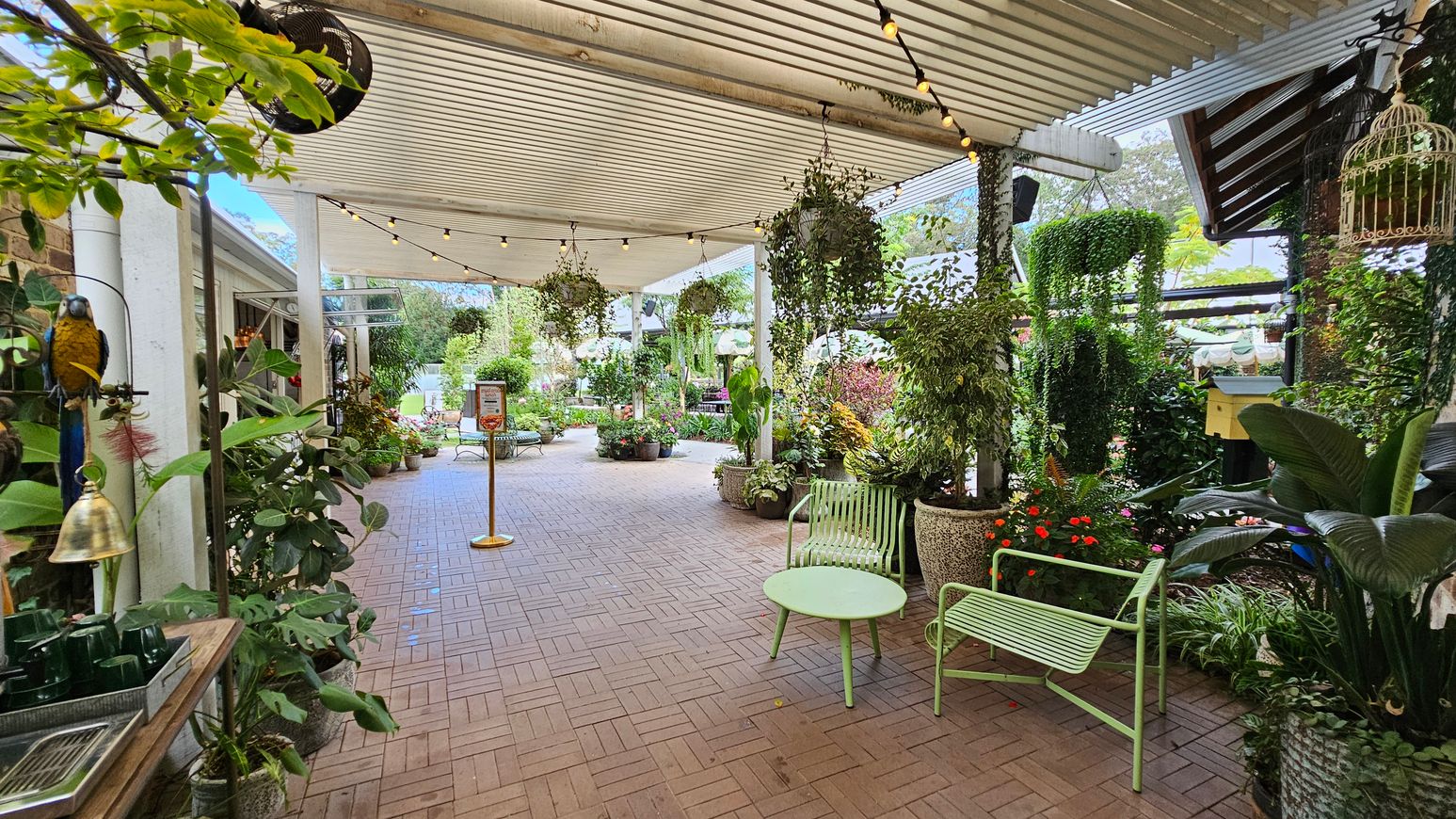 A covered outdoor area with a brick floor and a slatted ceiling adorned with string lights. On the left, a variety of potted plants and a decorative parrot on a stand. In the centre, a pathway leads to more greenery and a sign. On the right, a green metal chair and table set amidst lush plants and hanging baskets. The background features more plants and a partially visible building. A covered outdoor area with a brick floor and a slatted ceiling adorned with string lights. On the left, a variety of potted plants and a decorative parrot on a stand. In the centre, a pathway leads to more greenery and a sign. On the right, a green metal chair and table set amidst lush plants and hanging baskets. The background features more plants and a partially visible building.