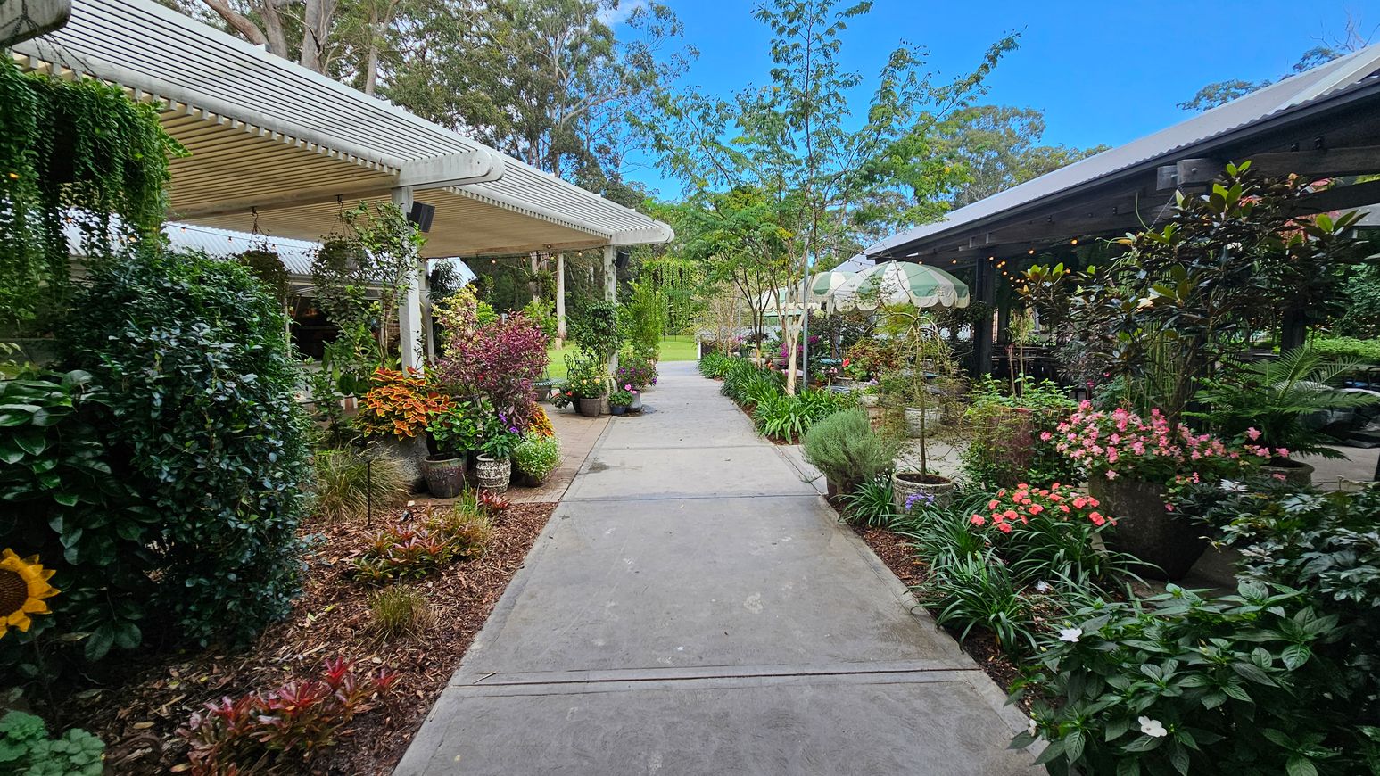 A garden pathway flanked by lush greenery and vibrant flowers. On the left, a pergola with hanging plants and a variety of potted shrubs and flowers. On the right, more potted plants and flowers, with a structure featuring a corrugated roof and decorative umbrellas. The path is concrete, bordered by mulch and plants. In the background, trees and more greenery are visible, creating a serene, natural setting. A garden pathway flanked by lush greenery and vibrant flowers. On the left, a pergola with hanging plants and a variety of potted shrubs and flowers. On the right, more potted plants and flowers, with a structure featuring a corrugated roof and decorative umbrellas. The path is concrete, bordered by mulch and plants. In the background, trees and more greenery are visible, creating a serene, natural setting.