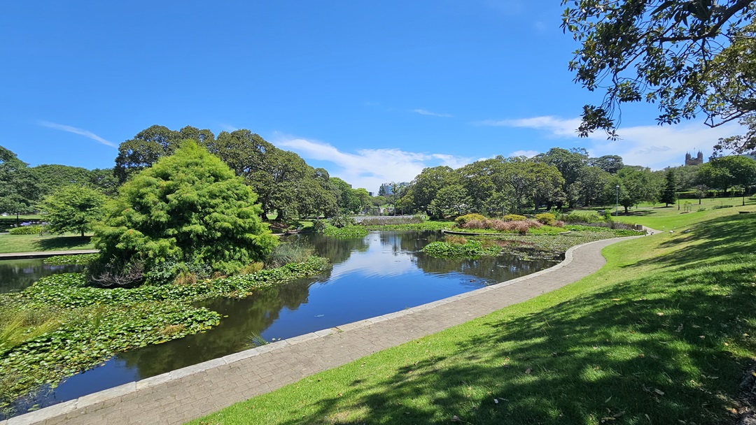 On the left, Lake Northam displays water lilies, wild grass, and trees emerging from the water. To the right, there's a hill covered in green grass. In between, a concrete brick path runs. The entire area is surrounded by trees. On the left, Lake Northam displays water lilies, wild grass, and trees emerging from the water. To the right, there's a hill covered in green grass. In between, a concrete brick path runs. The entire area is surrounded by trees.