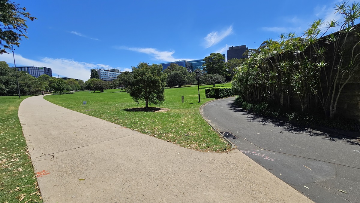 The concrete path leads to another path at the end, guiding towards the facility. A concrete wall, bordered by tall ornamental plants, is on the right. The surroundings include green grass, tall trees, and visible street lights. Near the entrance, there's a landscape of shrubs. The concrete path leads to another path at the end, guiding towards the facility. A concrete wall, bordered by tall ornamental plants, is on the right. The surroundings include green grass, tall trees, and visible street lights. Near the entrance, there's a landscape of shrubs.