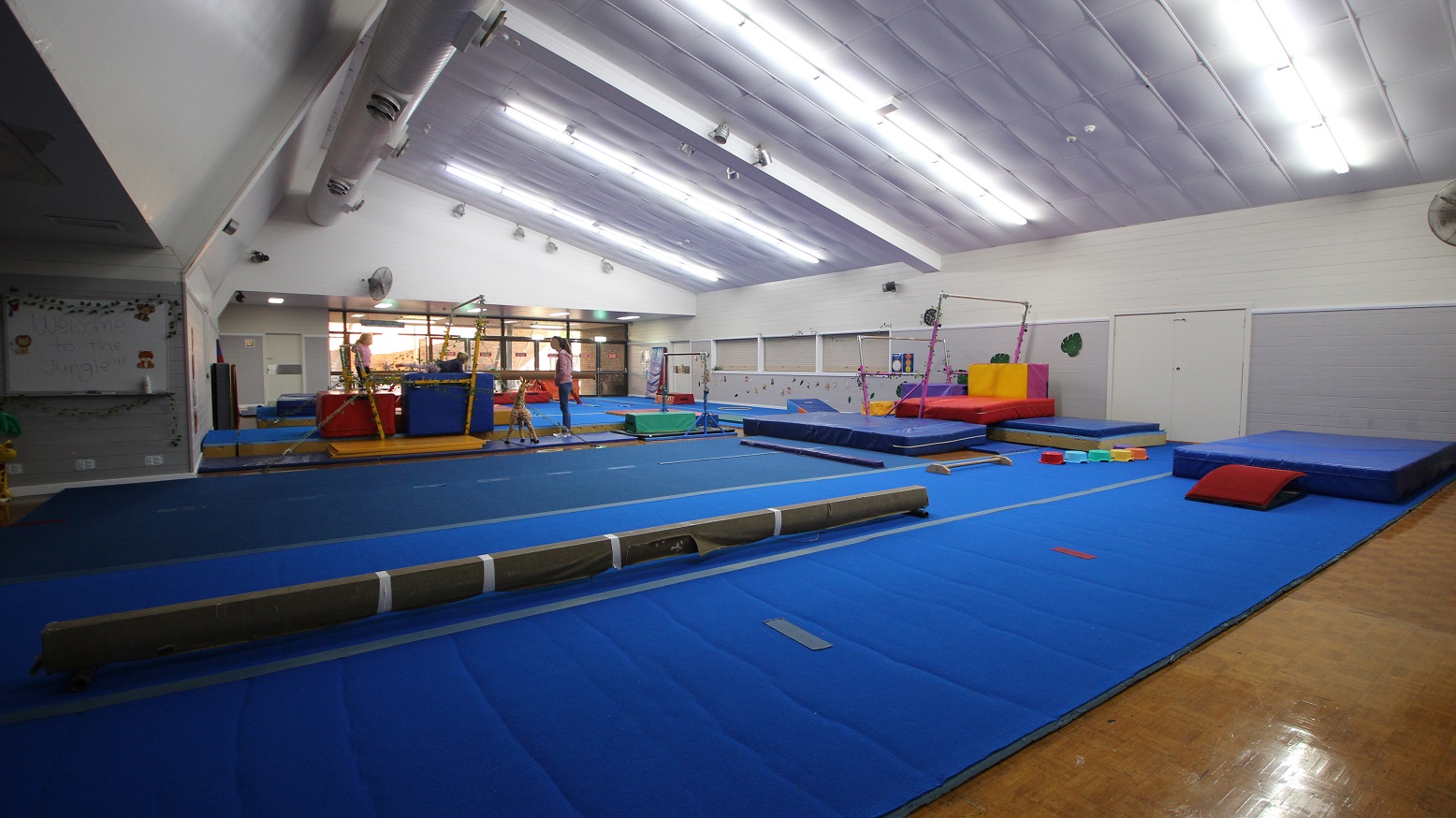 The gymnasium also has timber flooring but is featured by the large blue mats and other soft equipment used for gymnastics. There are obstacle platforms and pole vault platforms. The ceiling is white with subtle lighting. The inside of the gymnasium is full of varying colors, which makes the place alive and vibrant. The gymnasium also has timber flooring but is featured by the large blue mats and other soft equipment used for gymnastics. There are obstacle platforms and pole vault platforms. The ceiling is white with subtle lighting. The inside of the gymnasium is full of varying colors, which makes the place alive and vibrant.